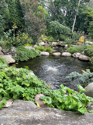 Backyard pond with stepping stones, boulders, and lush perennials under a tree canopy