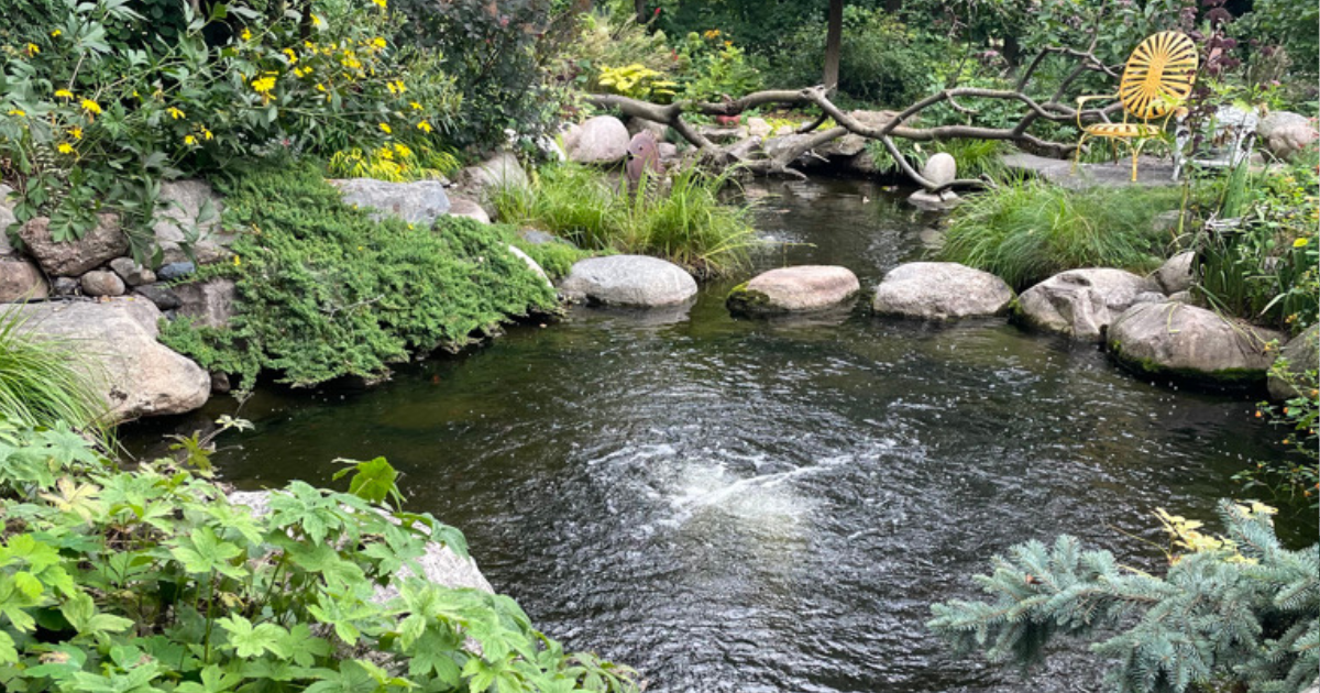 Backyard pond with stepping stones, boulders, and lush perennials under a tree canopy